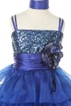 girls blue berry dress